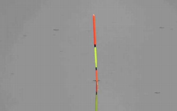 初夏钓鱼钓底还是钓浮?