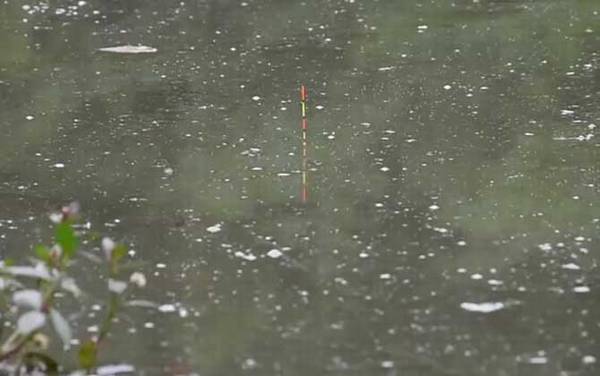 初夏钓鱼钓多深合适?