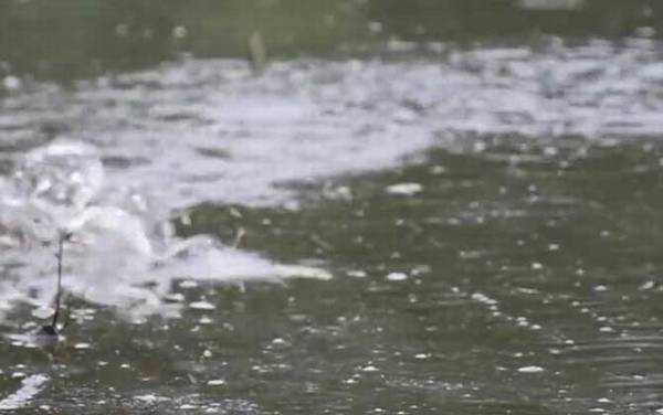 初夏钓鱼钓多深合适?