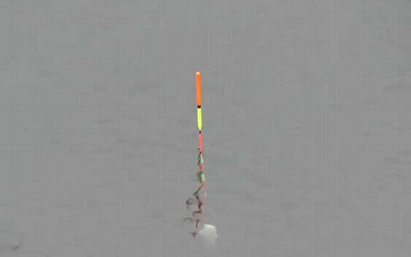 初夏钓鱼选择什么位置最好?