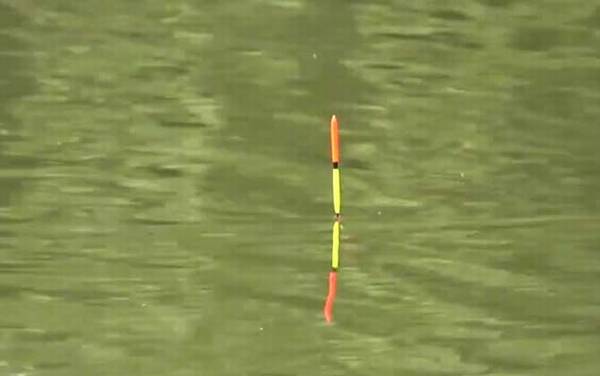 夏天40度高温怎么钓鱼?