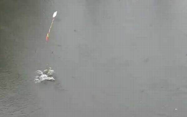 五月钓鱼怎么钓上鱼快?