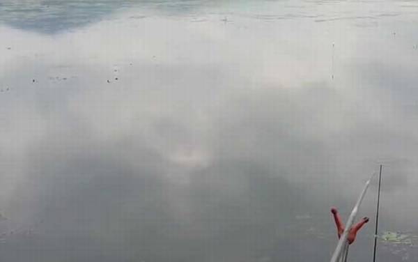 五月钓鱼什么时间最好?