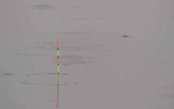 五月钓鱼什么时间最好?