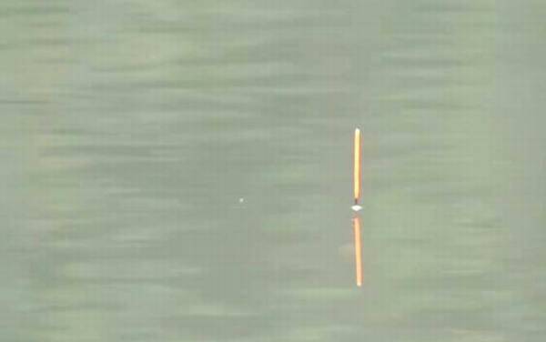 六月钓鱼没口是怎么回事?