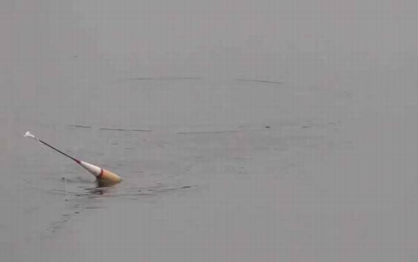 六月钓鱼没口是怎么回事?