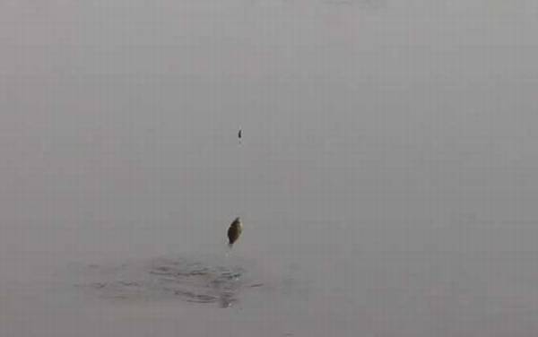 七月钓鱼好钓吗?