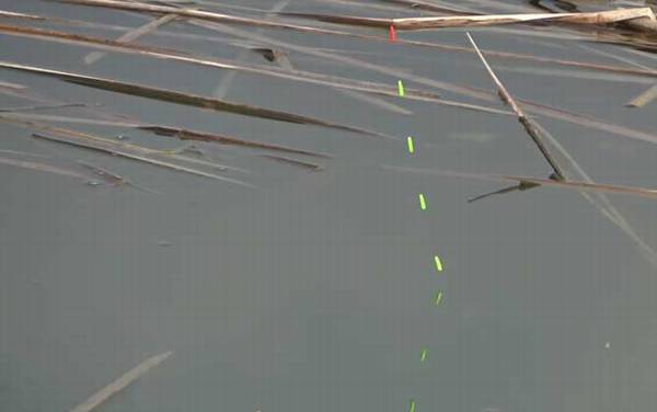 初秋钓鱼钓深水还是浅水?