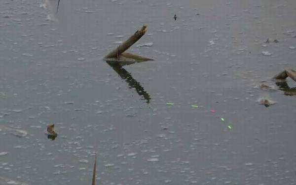 初秋钓鱼最佳时间是什么时候?