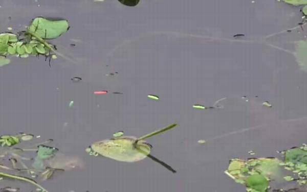 初秋钓鱼水深多少合适?