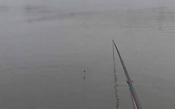 深秋钓鱼钓近还是钓远?