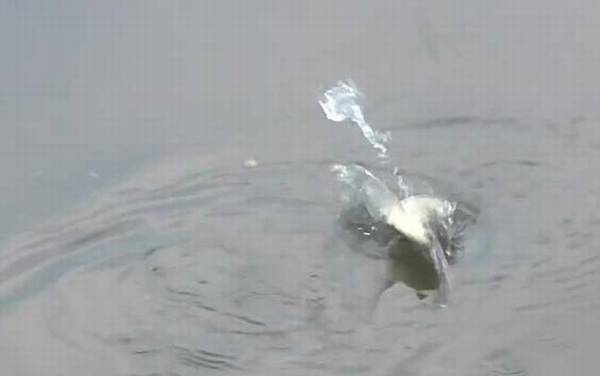 秋季钓鱼气压多少适合钓鱼?