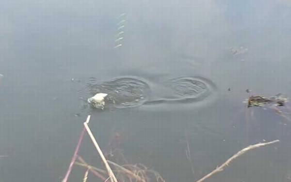 秋季钓鱼气压多少适合钓鱼?