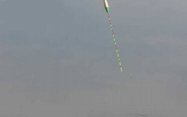 八月钓鱼技巧和方法