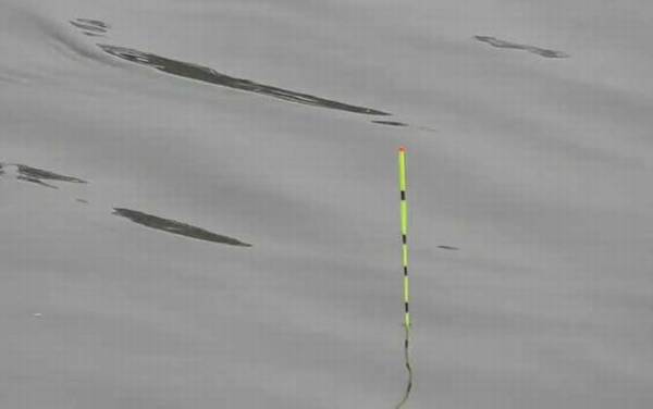 九月钓鱼好钓吗?