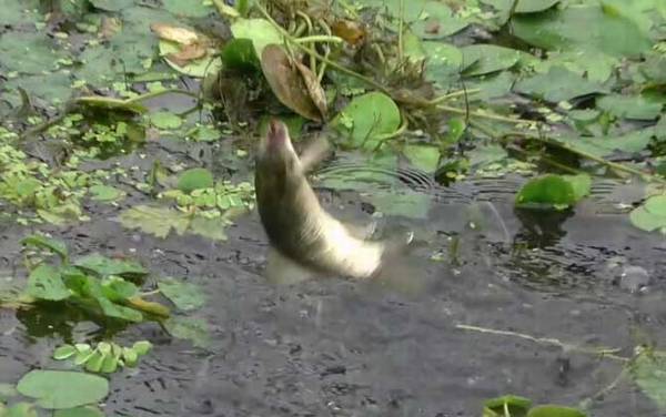 九月钓鱼什么时间最好?