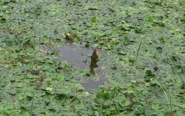 十月钓鱼钓位怎么选择才好?