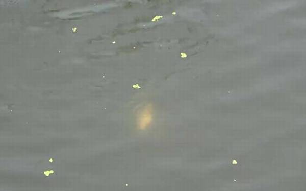 十月钓鱼钓多深合适?