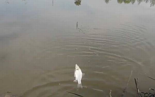 十月钓鱼钓多深合适?