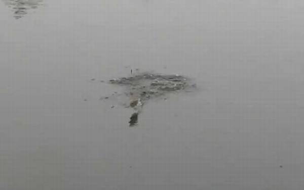 十月钓鱼最佳时间是什么时候?