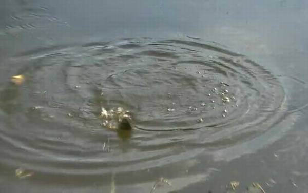 十月钓鱼最佳时间是什么时候?