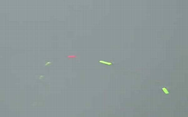 十月钓鱼最佳时间是什么时候?