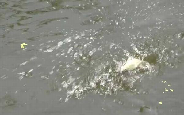 十月钓鱼钓位怎么选择才好?