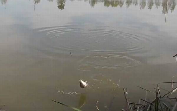 十月钓鱼钓位怎么选择才好?