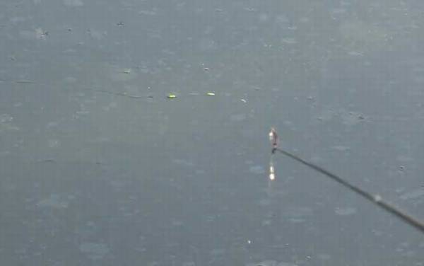 十月钓鱼什么天气最好?