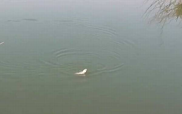 十月钓鱼什么天气最好?