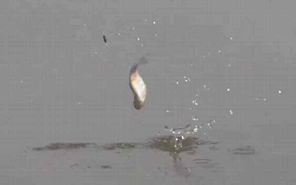 十月钓鱼什么天气最好?