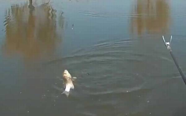 初冬钓鱼技巧和方法