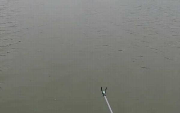 初冬钓鱼天气怎么选择?