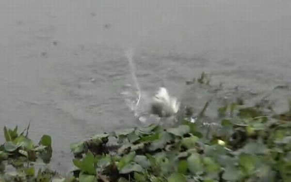 初冬钓鱼天气怎么选择?