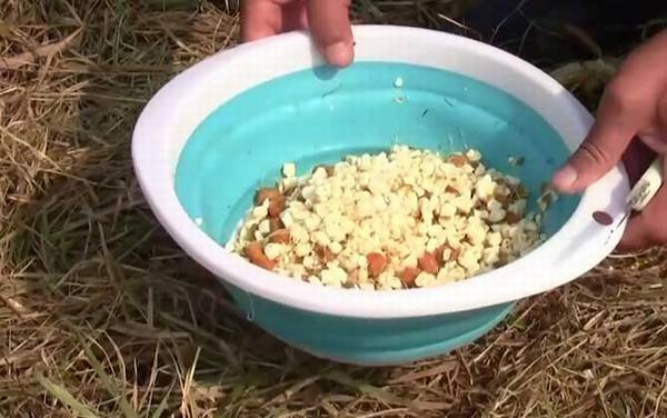 钓鱼为什么要打窝子?