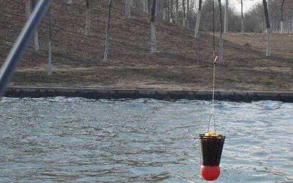 钓鱼为什么要打窝子?