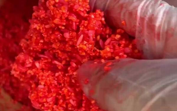 酒米打窝提前多久打?