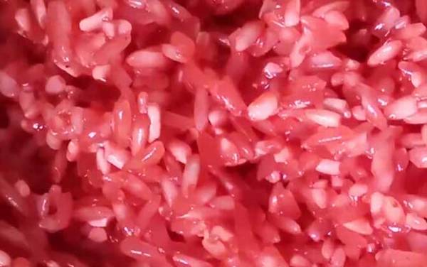 酒米打窝提前多久打?