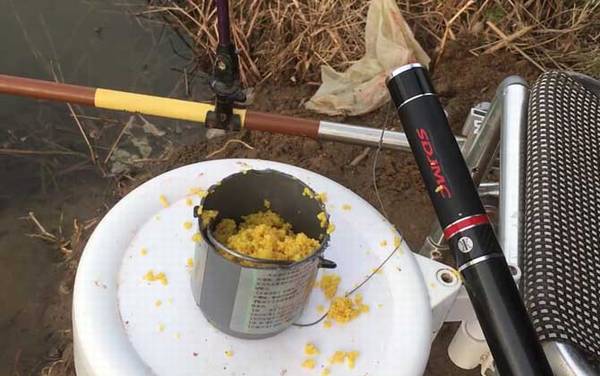 酒米打窝多久补一次窝?