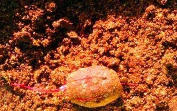 爆炸钩用活铅坠还是死铅坠?