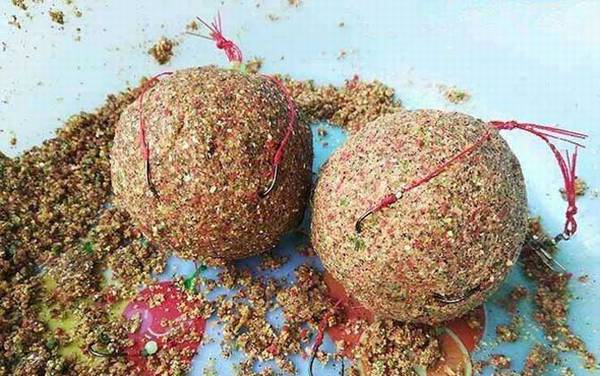 用爆炸钩怎样才能钓到鱼?