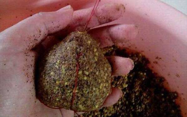 爆炸钩怎样上饵料?