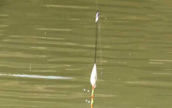 早春野钓技巧及方法