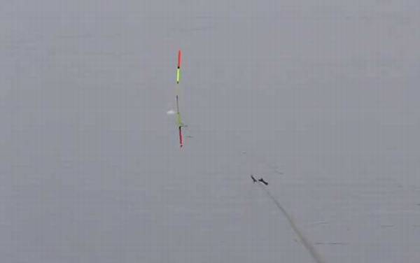 早春钓鱼窍诀和方法