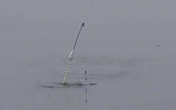 早春钓鱼窍诀和方法