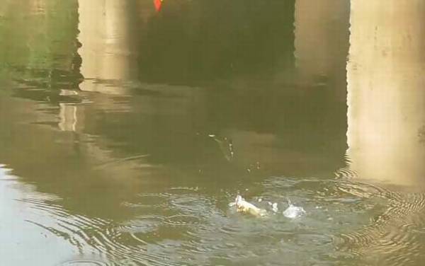 早春水库怎样钓鱼?