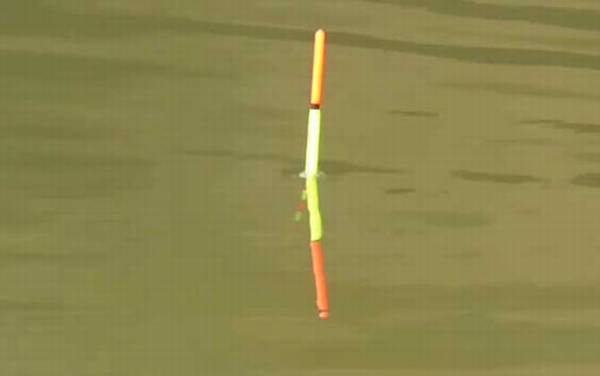 早春水库怎样钓鱼?