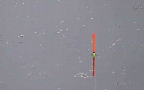 早春钓鱼怎么选钓位?