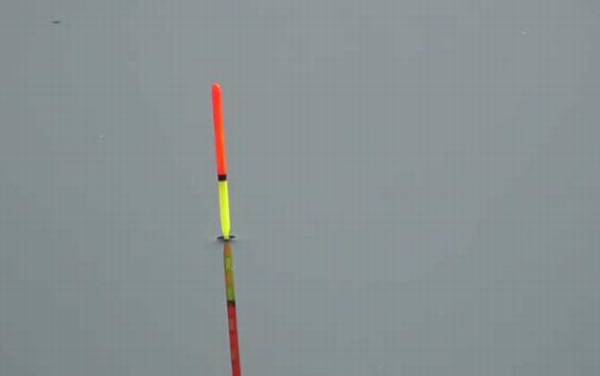 早春钓鱼什么风向好?