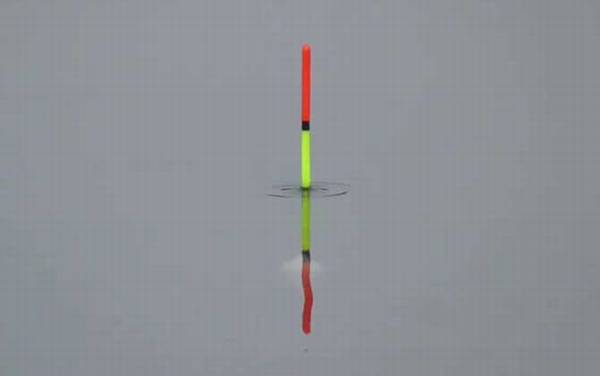 早春雨天可以钓鱼吗?